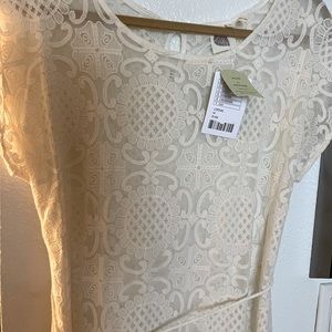 Anthropologie crème overlay. Brand new, never worn. Slits up side.